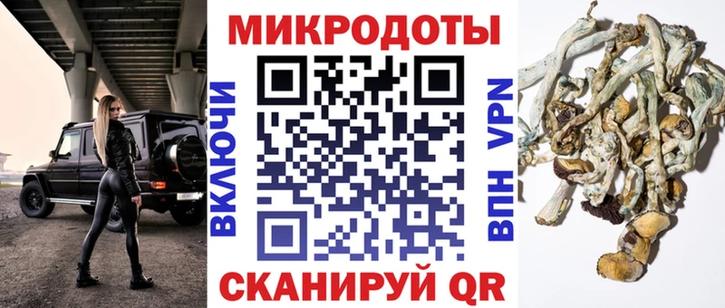 хочу наркоту  Медвежьегорск  mega ТОР  Псилоцибиновые грибы Psilocybine cubensis 